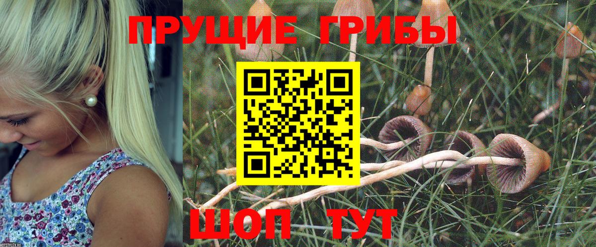 Галлюциногенные грибы прущие грибы Бердск